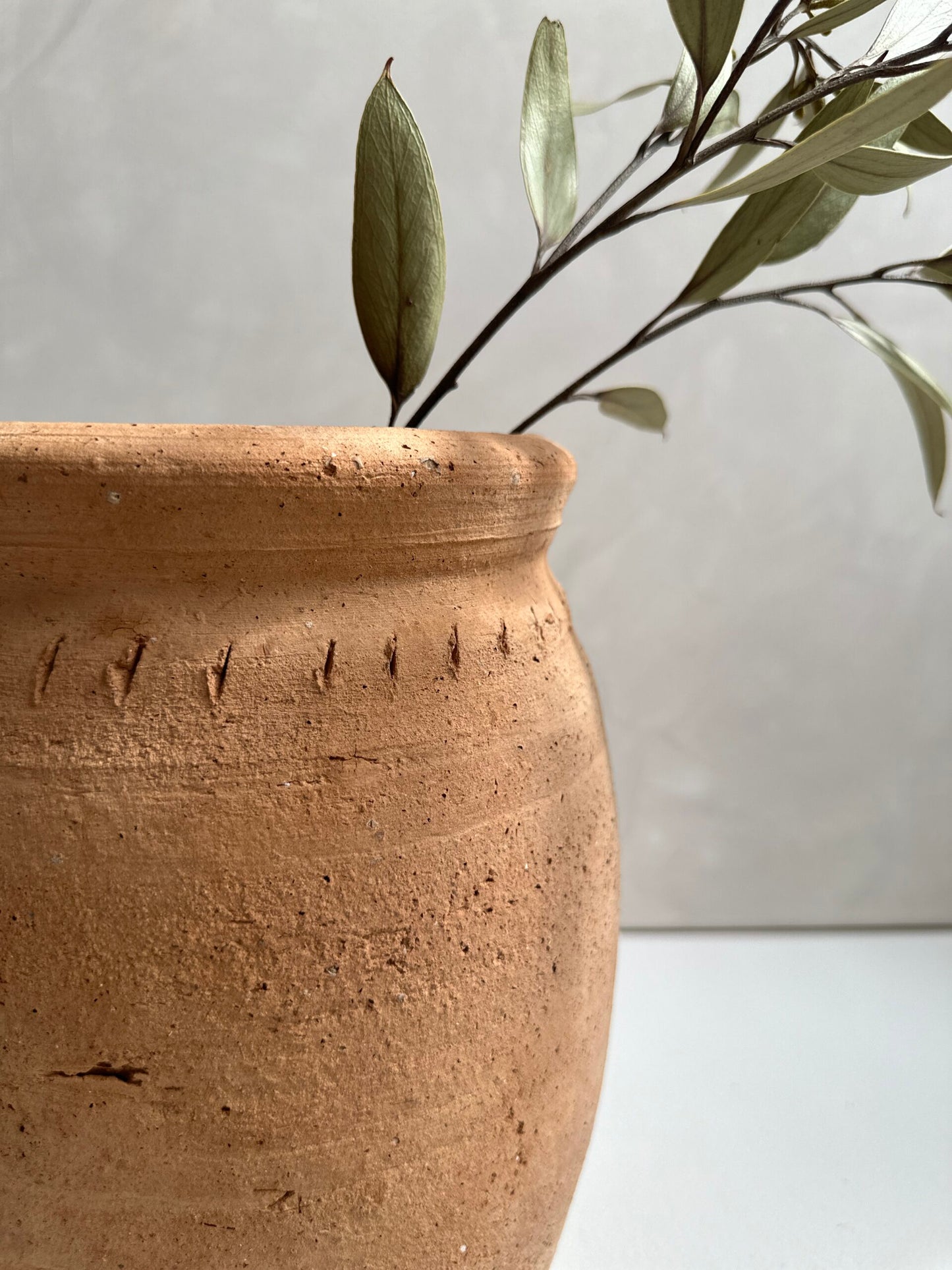 Terracotta Pot | Vase