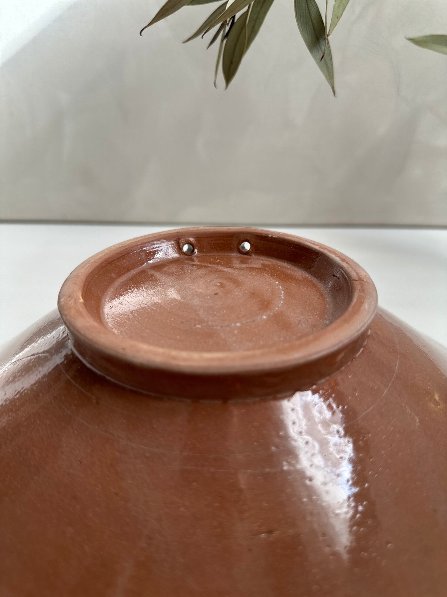 Big Bowl | Fig
