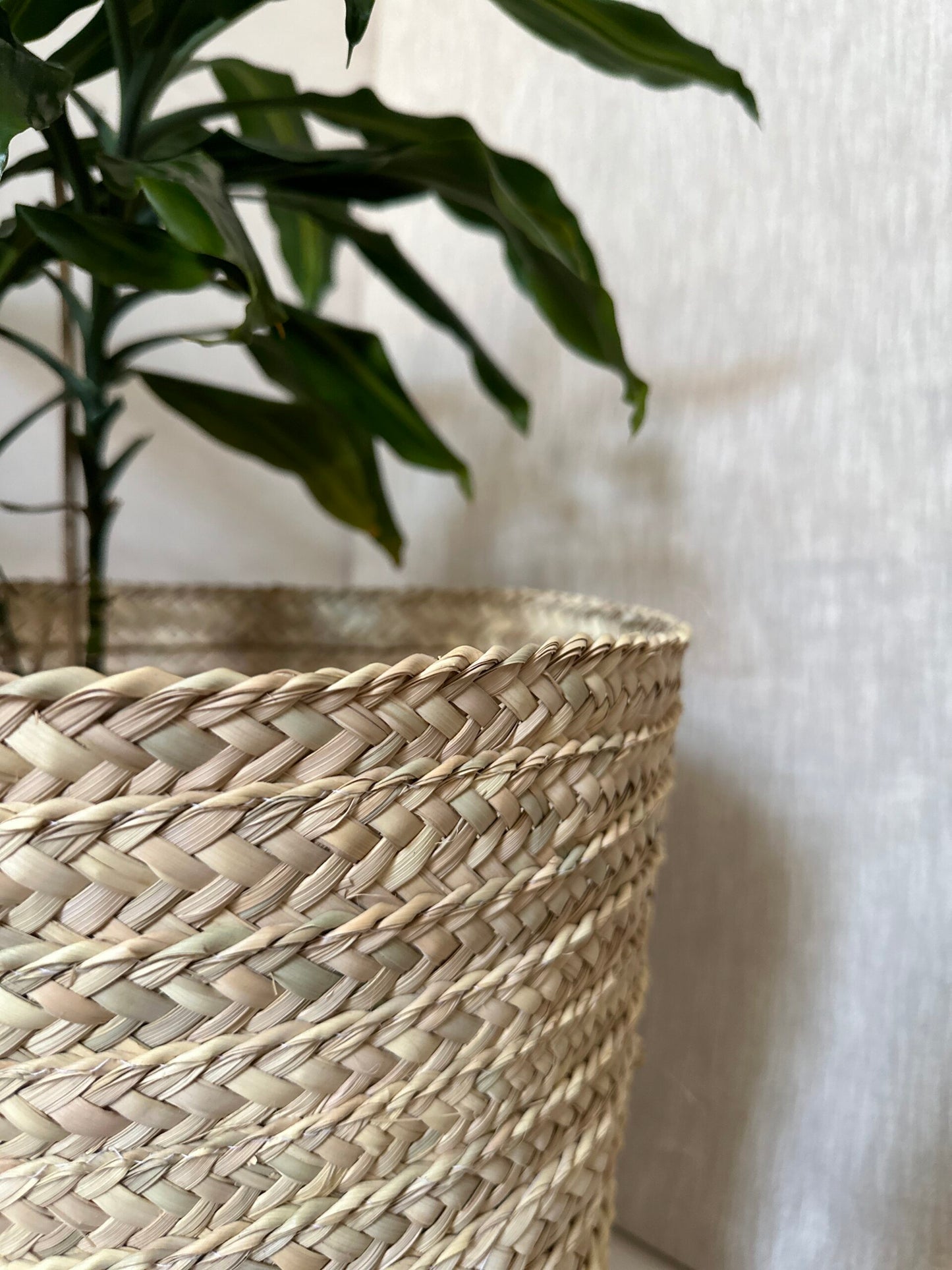 Braided Basket M | Malak