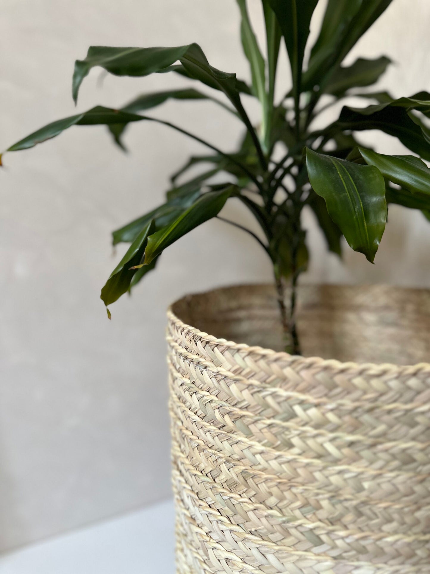 Braided Basket M | Malak