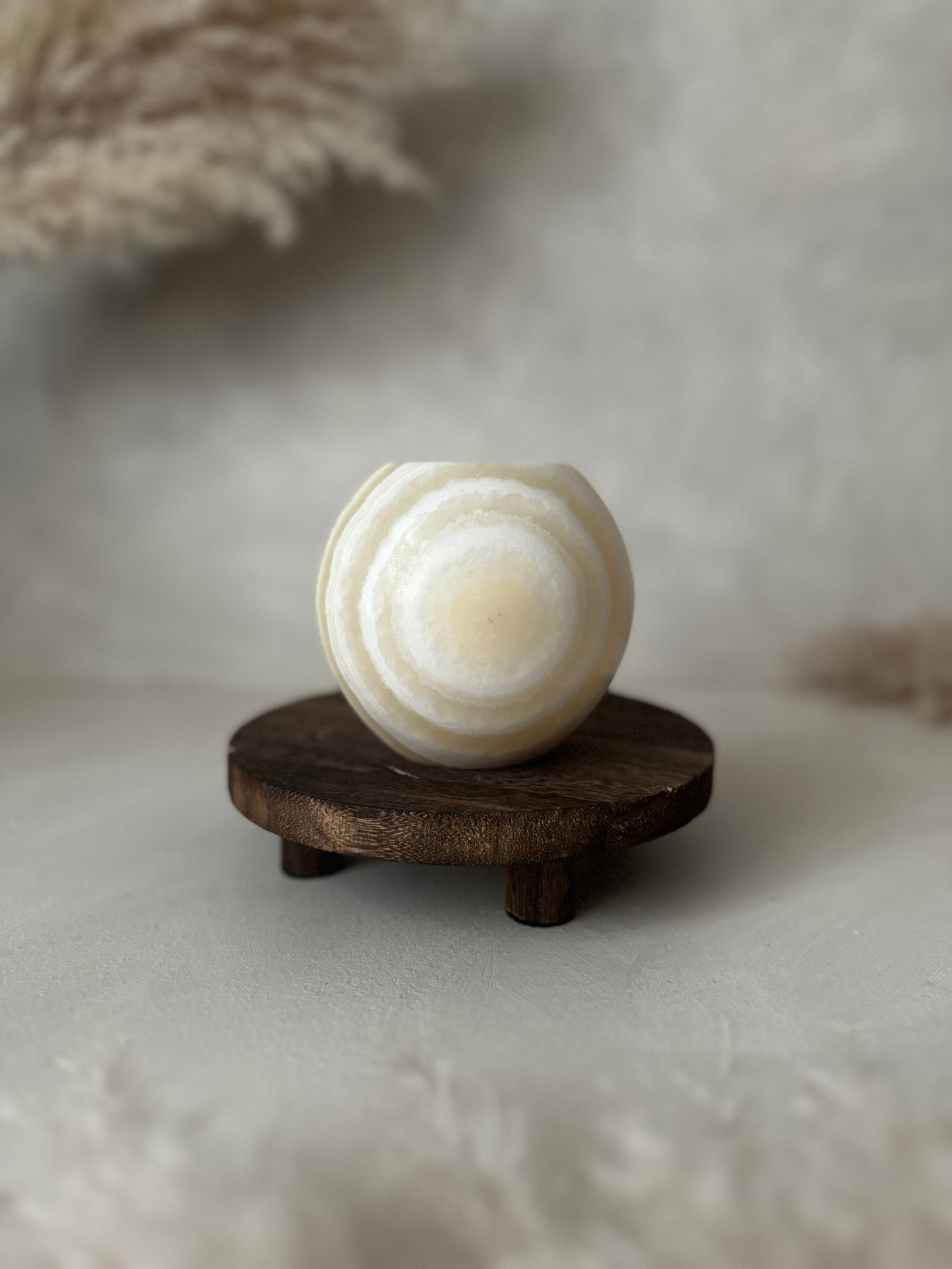 Helle Oberfläche betont den Roya the Brand Sol Kerzenhalter klar.