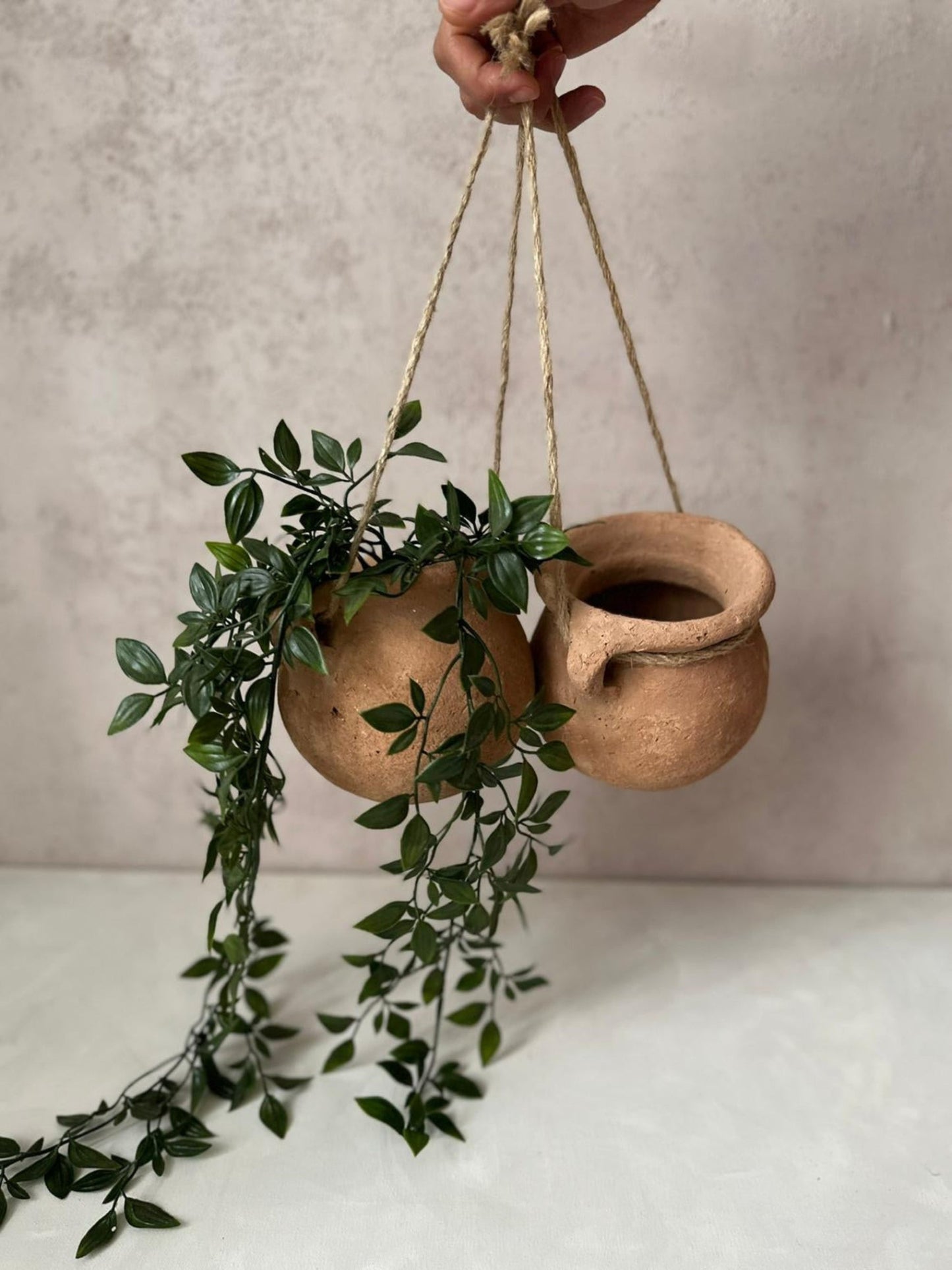 Two terracotta pots with a hanging plant against a neutral background